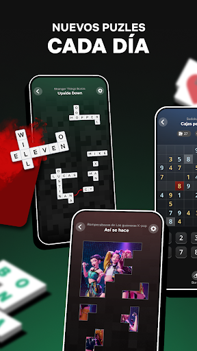 Netflix Puzzled Netflix Puzzled